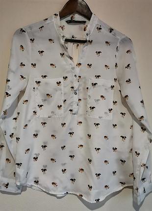 Сорочка сорочка нова 36,38