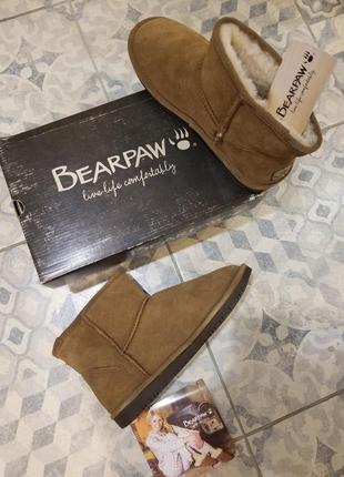 Угги водоотталкивающие натуральные bearpaw demi новые 39 р.6 фото