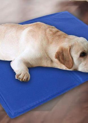 Охлаждающий коврик для собак синий 40 х 30 см2 фото