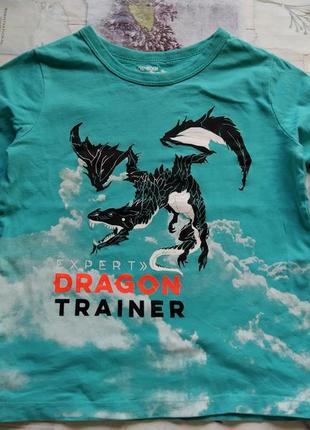 Реглан футболка как приручить дракона