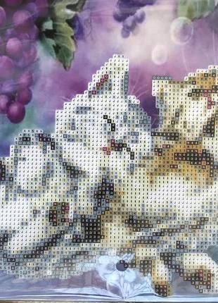 Набір "діамантова мозаїка" кошенята 21*25, на плотному картоні