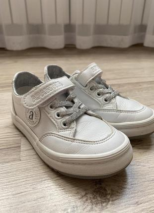 Кеди