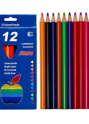 Олівець 12 кольорів jambo