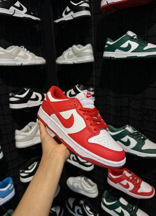 Nike dunk retro/sb