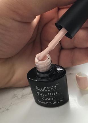 Пастельний гель лак для нігтів 10 ml bluesky