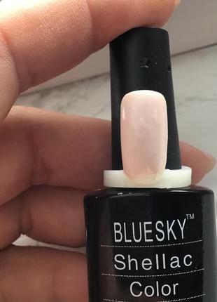 Пастельний гель лак для нігтів 10 ml bluesky3 фото