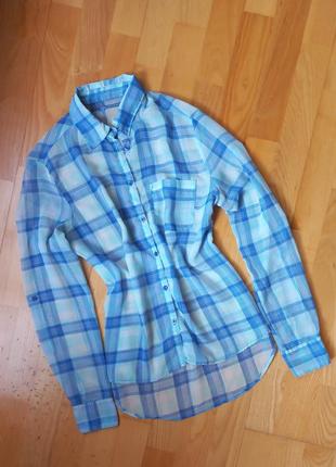 Стильная шифоновая рубашка в клетку terranova  с длинным рукавом  с коротким рукавом  блуза