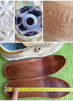 Cetti luxsportiveshoes bunny twist c1181-2 сникеры женские