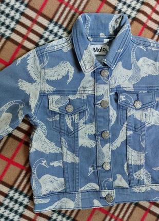 Джинсовая курточка molo лебеди