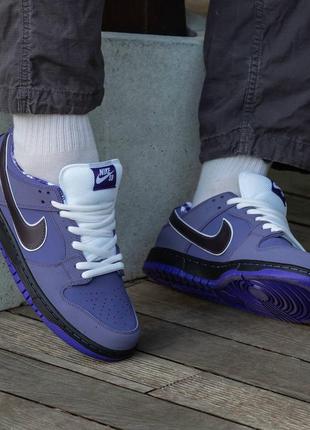 Кроссовки nike sb dunk purple lobster6 фото