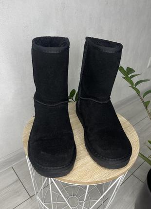 Сапоги черные угги