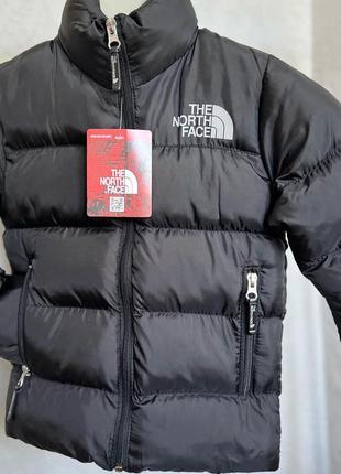 Куртка детская осень the north face р92-152