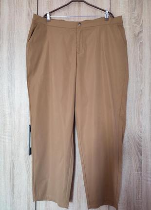 Гарненькі світло коричневі брюки штани розмір 56-58-601 фото
