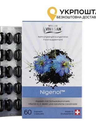 Чорний кмин нігенол 60 капс., антиоксидант вівасан vivasan