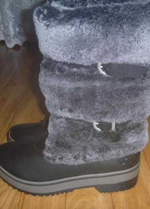 Сапоги ugg australia 6р или 37р2 фото