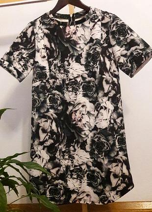 Красиве елегантне плаття, сукня neon rose в стилі ted baker