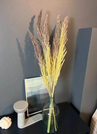 Инстагранные сухоцветы кортадерии 🌾 натуральные4 фото