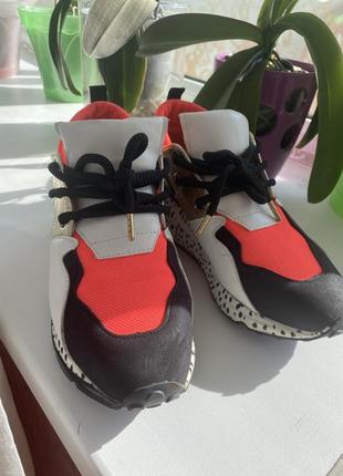 Кроссовки женские steve madden