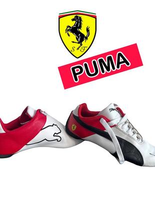 Кроссовки puma ferrari2 фото