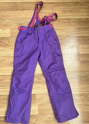 Лыжные брюки crane