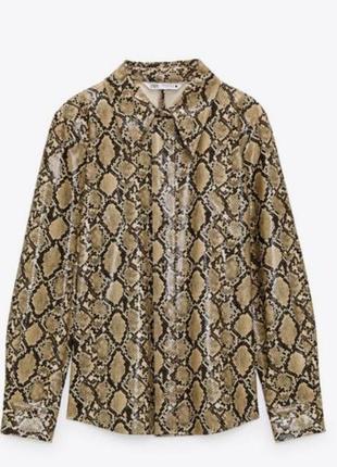 Сорочка жакет zara