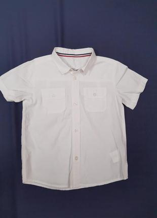 Сорочка теніска chicco 5 років короткий рукав рубашка1 фото