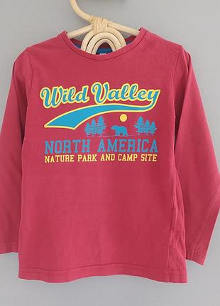 Реглан, кофта, светр для хлопчика 3-4 роки 7