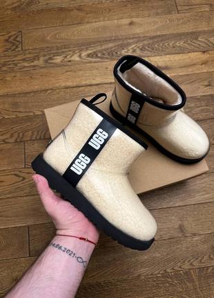 Чобітки ugg уггі чоботи черевики