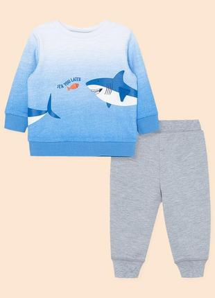 Набір комплект костюм кофта толстовка світшот лонгслів штани штани із зображенням акули little me ca