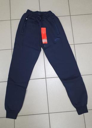 Спортивные штаны мужские cramp теплые s-xxl арт.1669, xxl, 52, синій