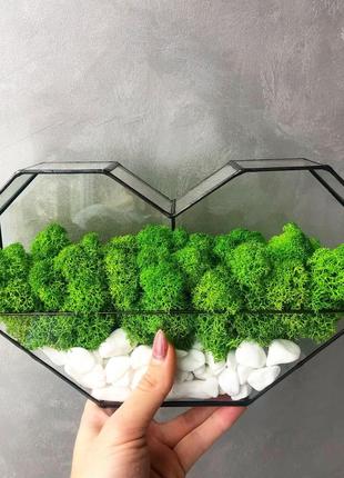 Мосаріум серце зі стабілізованим мохом minature moss