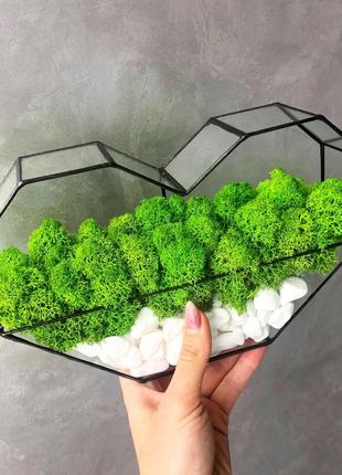 Мосаріум серце зі стабілізованим мохом minature moss6 фото