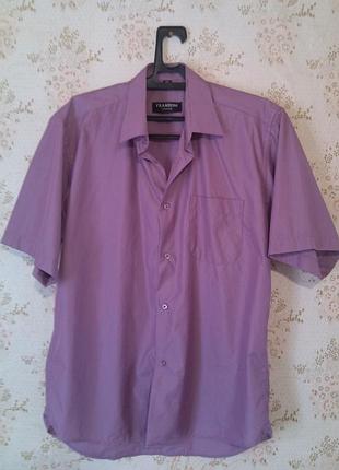 Рубашка с коротким рукавом в мелкую полоску