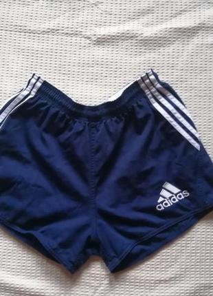 Шорти  adidas