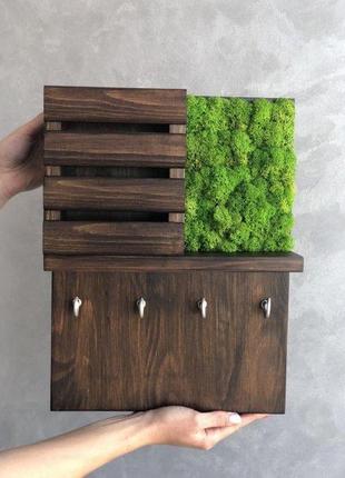 Ключница настенная 30*40 см цвет полисандр стабилизированый мох minature moss
