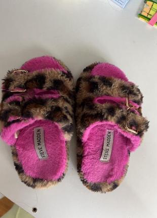 Тапкі steve madden