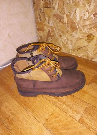 Чоботи ugg 36 розмір