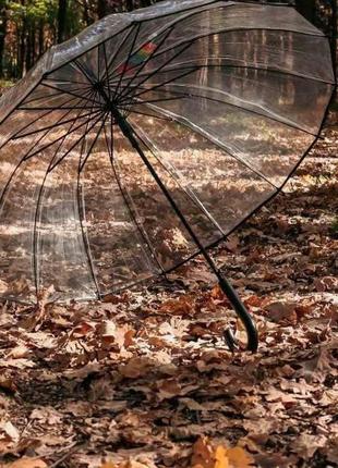 Велика прозора жіноча парасолька-тростина в стилі birdcage з 16 спицями та напівавтоматичним відкриттям7 фото