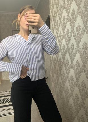 Сорочка рубашка блуза