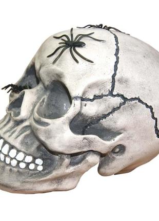 Декор череп копилка с пауками + подарок3 фото
