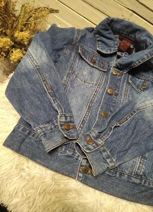 Джинсовка джинсовий піджак куртка унісекс5 фото