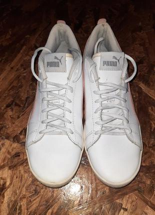 Кеды, женские кеды, жэнкие кед, кед, кеды puma, кроссовки, кроссовки