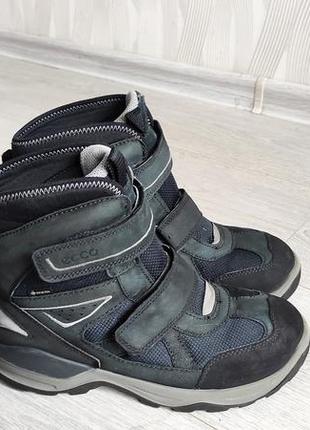 Сапожки термосапожки ботинки ecco 38 24 см мембрана gore-tex