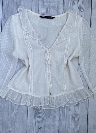 Блузка zara s(36)