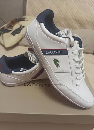 Снікерси lacoste