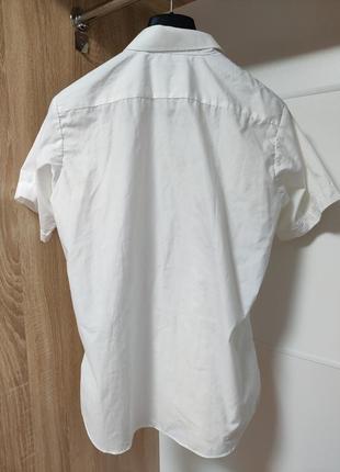 Мужская рубашка / рубашка с коротким рукавом2 фото