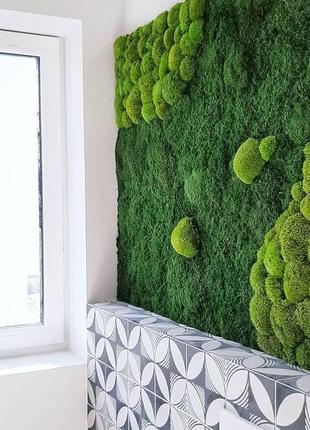 Панно картина із стабілізованого моху minature moss