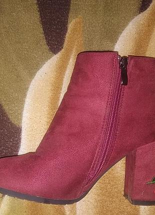 Ботільйони замш 3