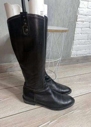 Кожаные сапоги donna carolina38-39р потолка 25,5см