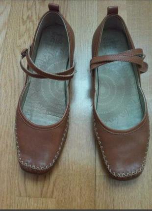 Туфли фирмы clarks1 фото